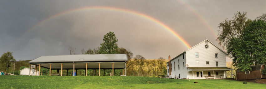 banner-rainbow-850x285
